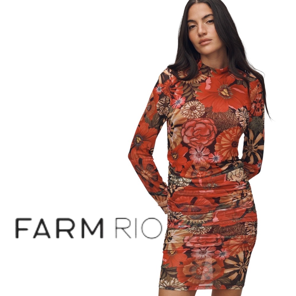 Farm Rio Red Floral Mesh Dress